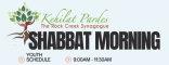 Youth Schedule Banner